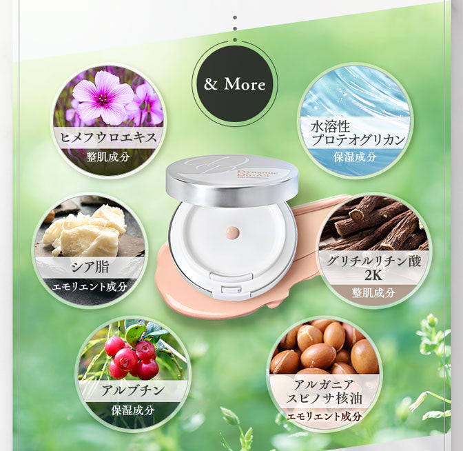 Dynamic Do-All DDファンデーション 15g – AMENITY Lab.